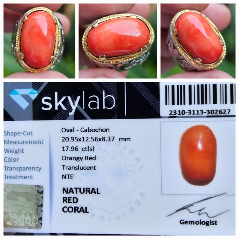 Natural Marjan Merah Orangy Red Coral NTE Memo 17.96 crt
