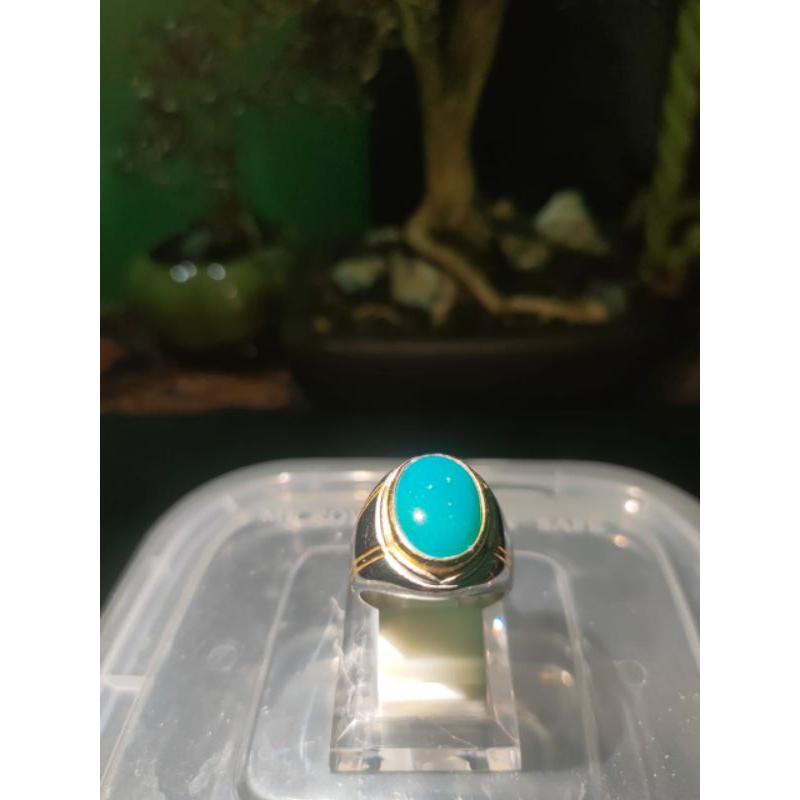 BACAN MAJIKO