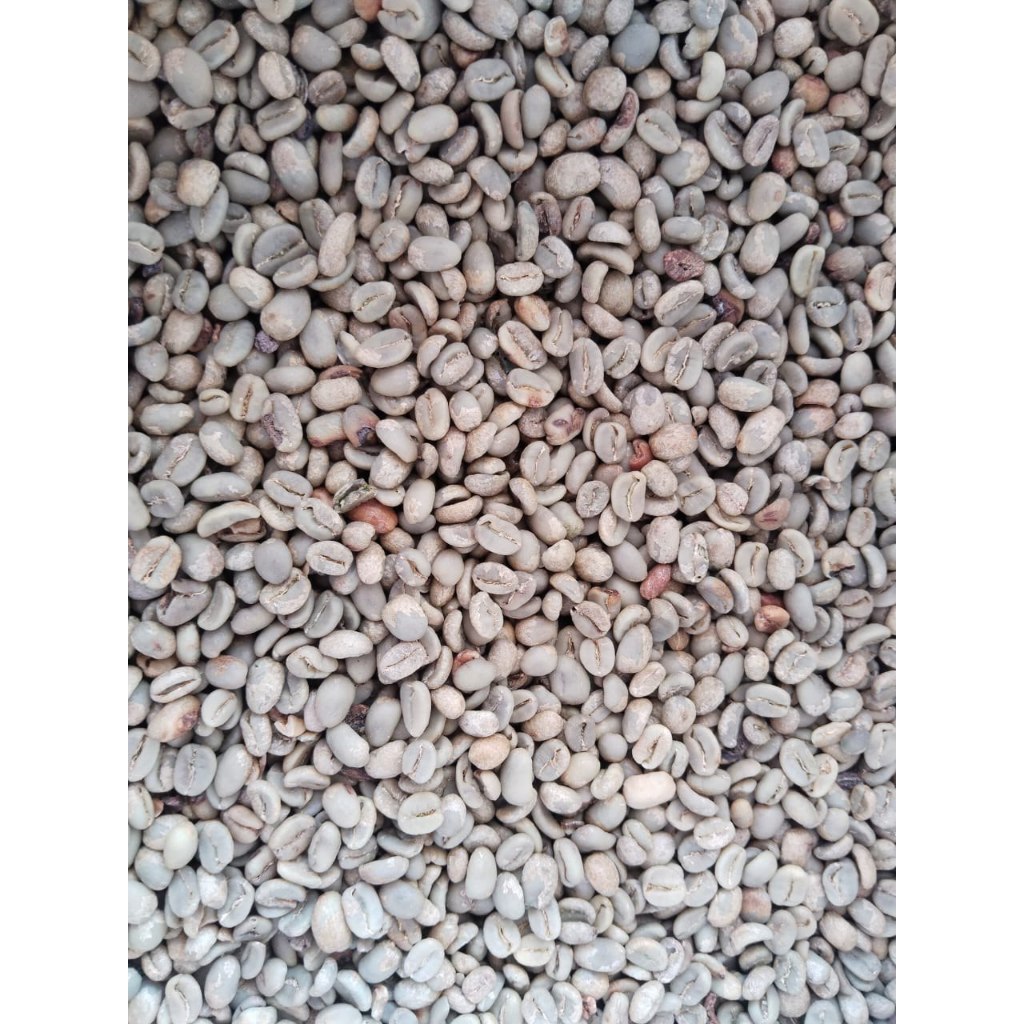 

Kopi Arabika Asalan Reguler Non Sortasi Origin Jawa Barat (Pangalengan)