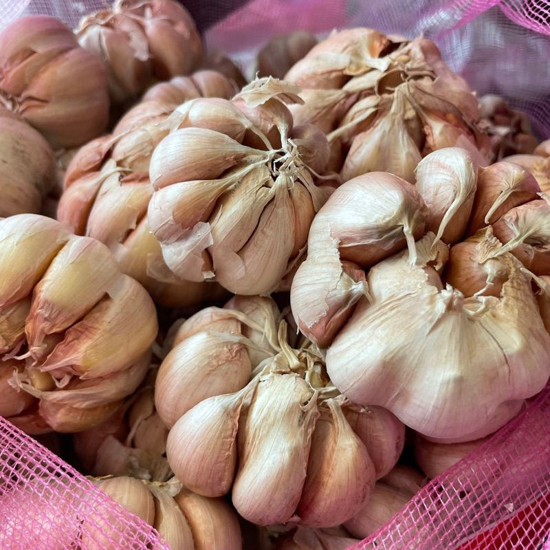 

Bawang Putih 250 Gram (SAMEDAY/INSTAN)