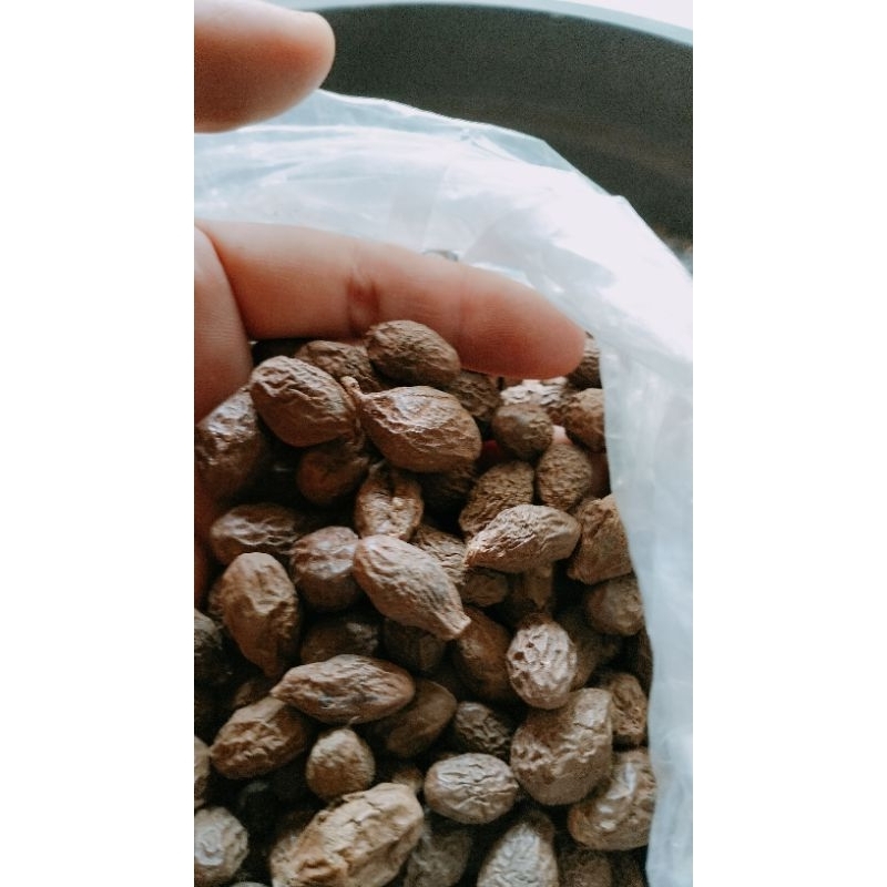 

Ay00! buah bengkak atau buah tempayang kembang semangkok 50 gram