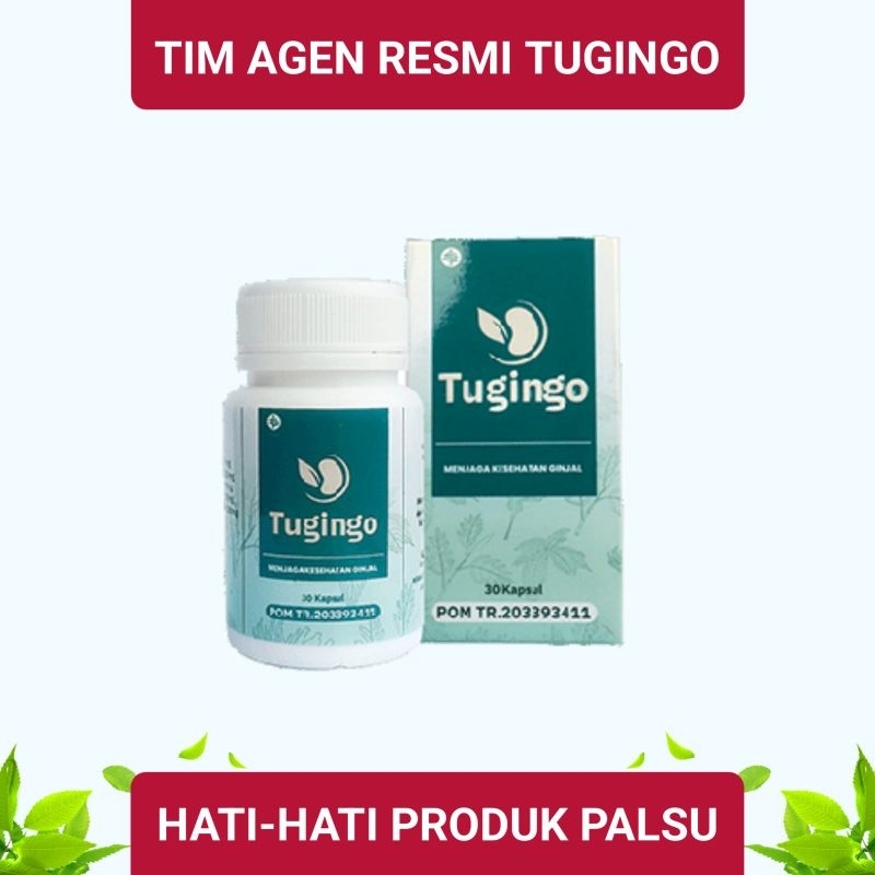 

Tugingo murah asli original