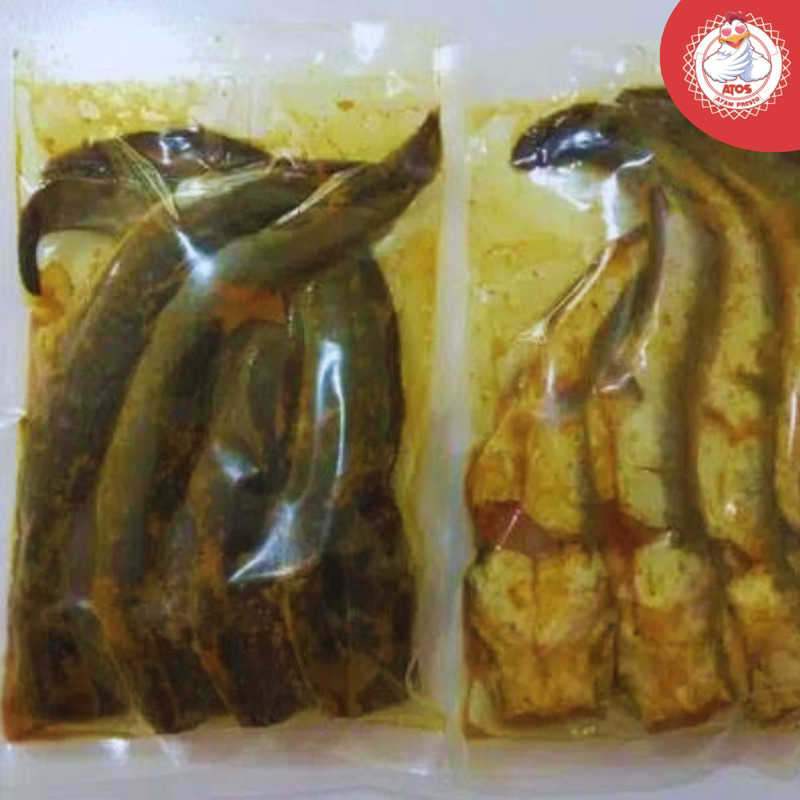 

Lele Segar Bumbu Kuning/Lele Siap Goreng/Lele Bumbu isi 4-5 Ekor