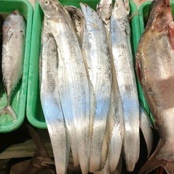 

Ikan Layur 500gr/1kg