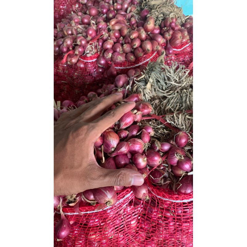 

Bawang Merah Brambang Potong 1KG