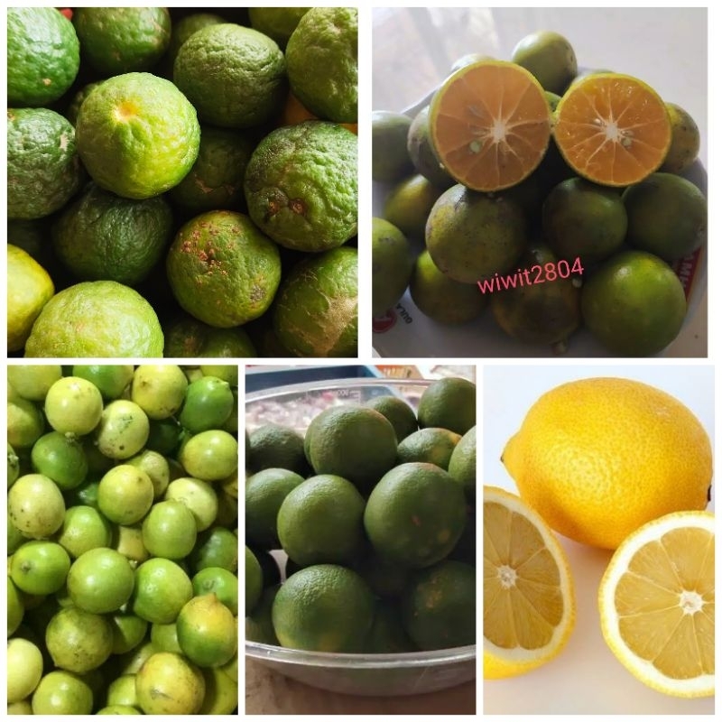 

Jeruk peras, jeruk nipis, jeruk lemon, dan limo 250g