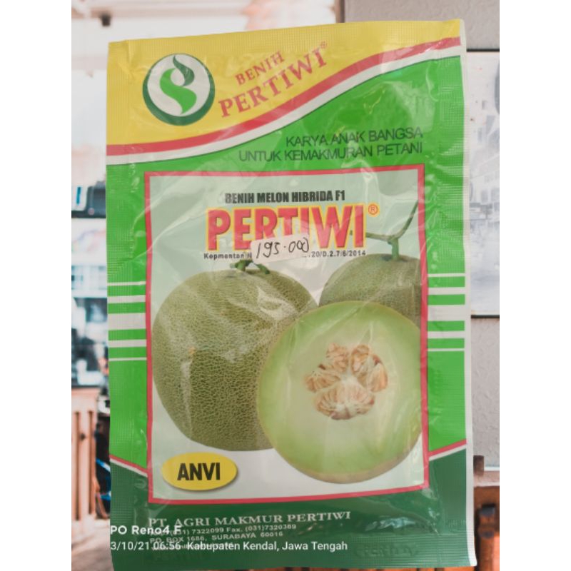 Melon Pertiwi || Benih