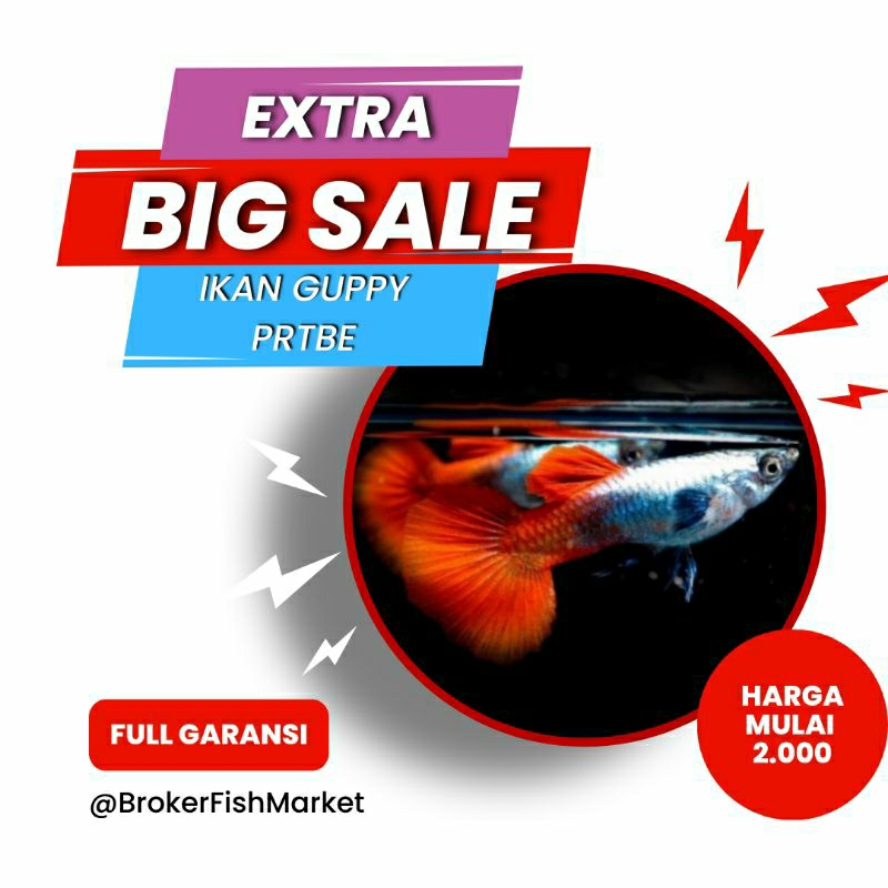 

packing styrofoam Prtbe