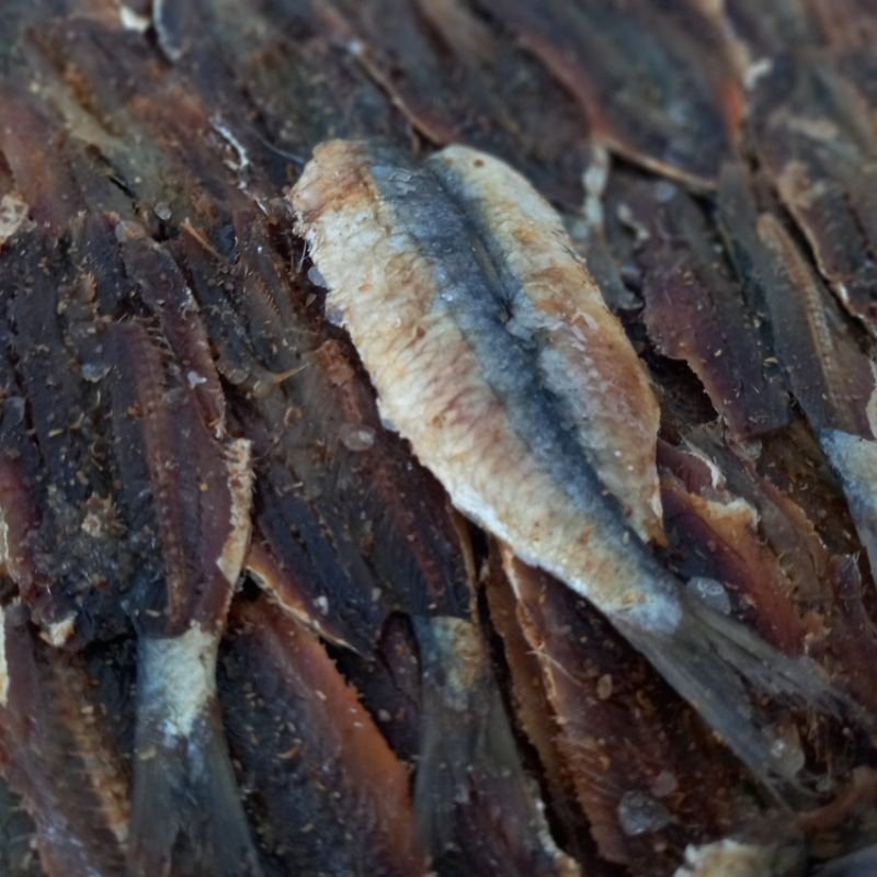 

Ikan Asin Dendeng 250gr