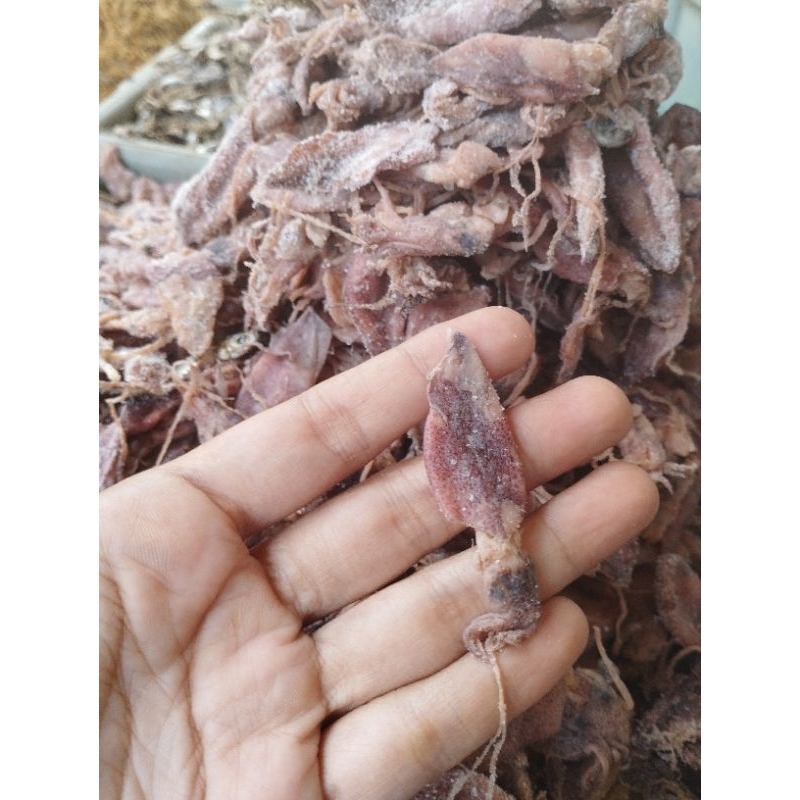 

baby cumi kering asin
