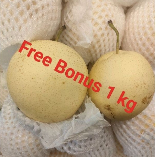 

Buah Pear Century uk 1kg + Gratis Bonus