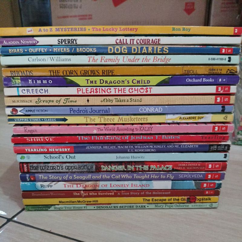 novel cerita fiksi fantasi anak remaja bahasa Inggris original