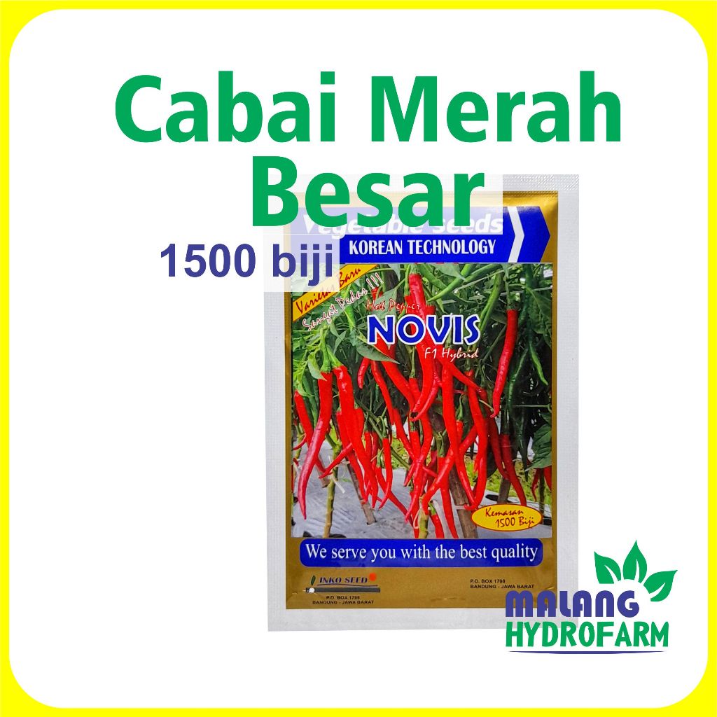 Benih Cabai Merah Besar Novis 1500 biji Vegetable Seeds dataran rendah menengah unggul bibit biji sa