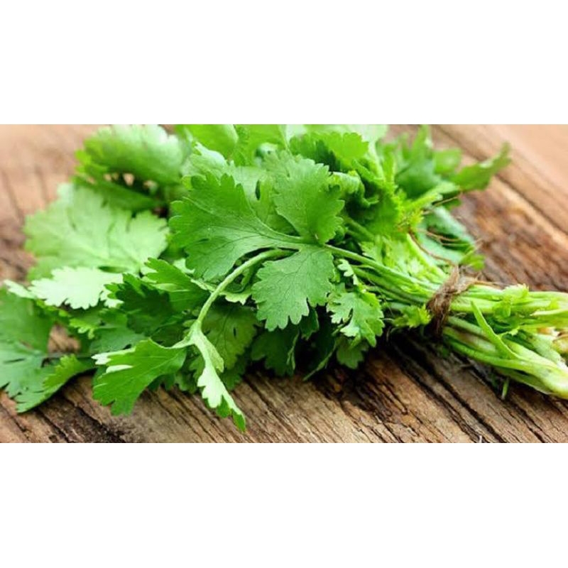 Daun Ketumbar 500gr