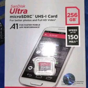 Memory Sandisk 256GB