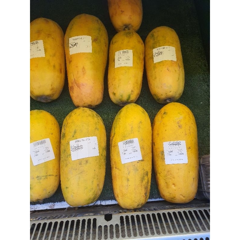 

Pepaya Malaysia
