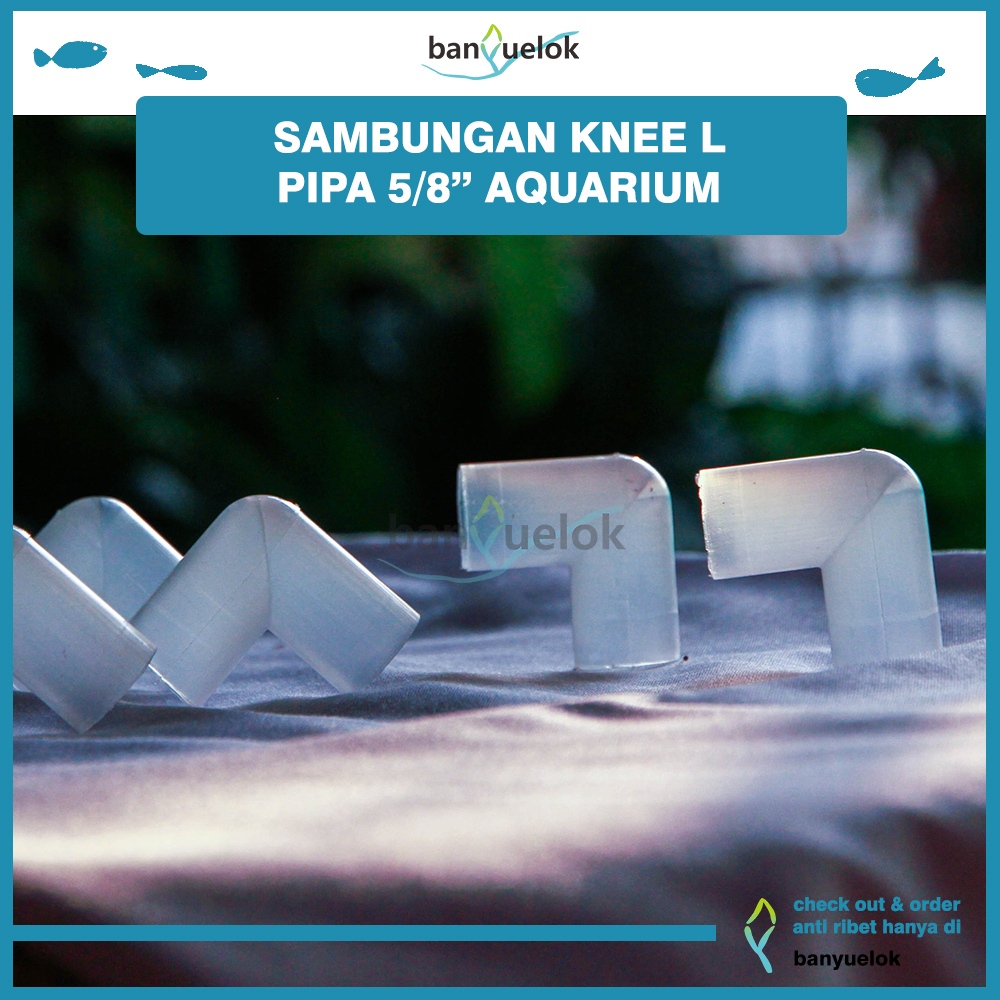 Sambungan Pipa Aquarium Knee/ keni/ Elbow/ Bentuk L Pipa 5/8" Aquarium
