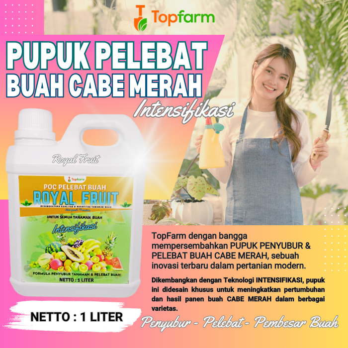 Pupuk Cabe Merah Keriting / Pupuk Pelebat Buah Cabe Merah / Pupuk Cabe Agar Berbuah Lebat / Pupuk Ca
