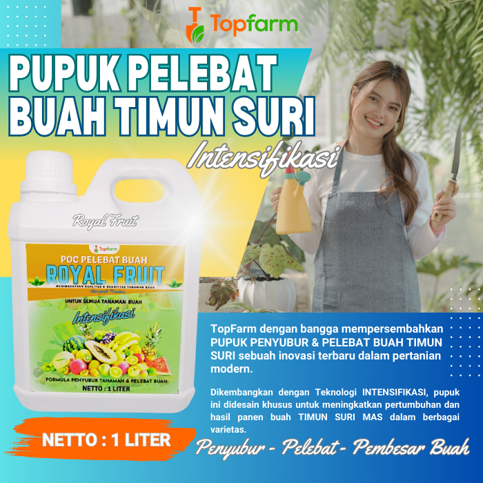 Pupuk Pelebat Buah Timun Suri / Pupuk Timun Suri / Pupuk Buah Timun Suri / Obat Hama Timun Suri / Ob