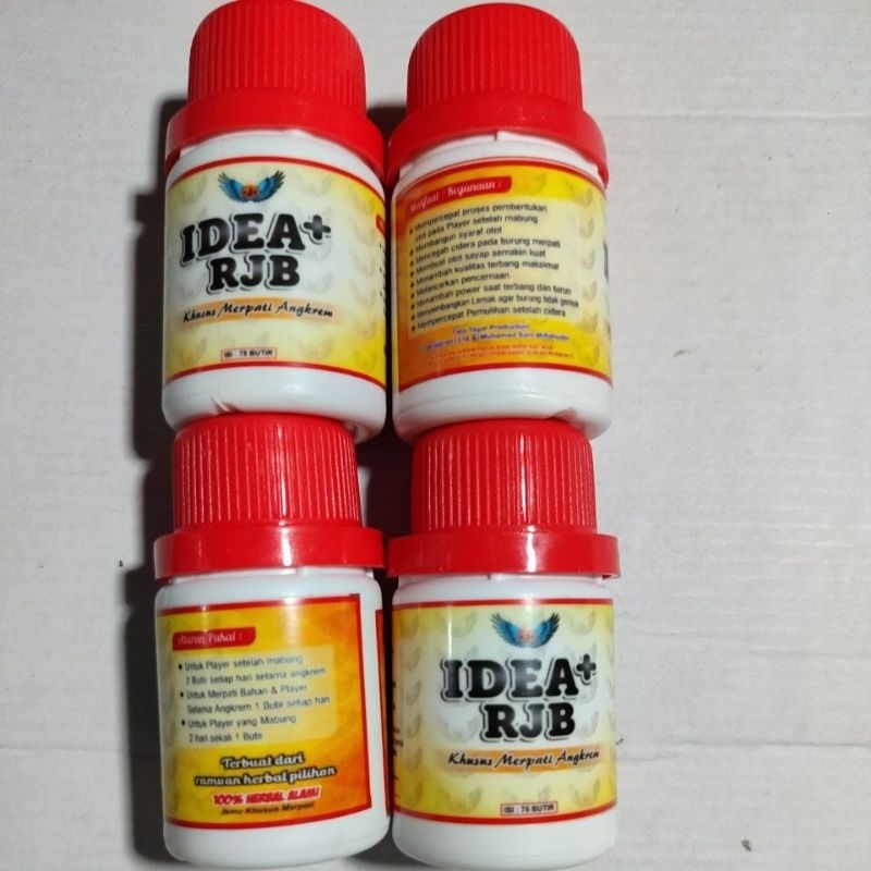 IDEA+RJB KHUSUS MERPATI ANGKREM