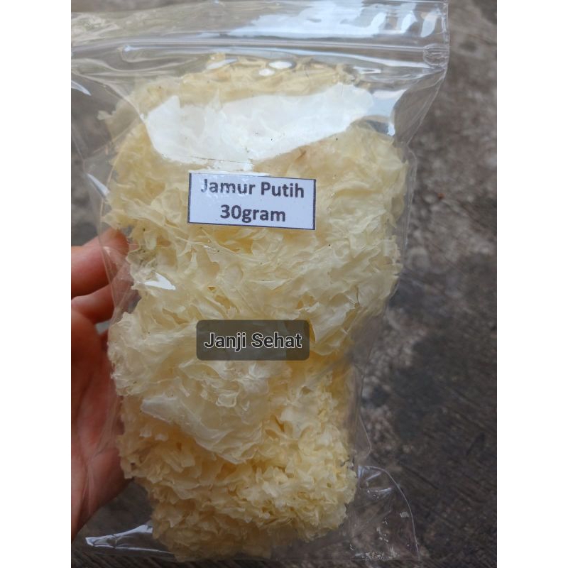 

Jamur Putih/Jamur Salju/Bai Mu Er/snow white Fungus/Yin Er