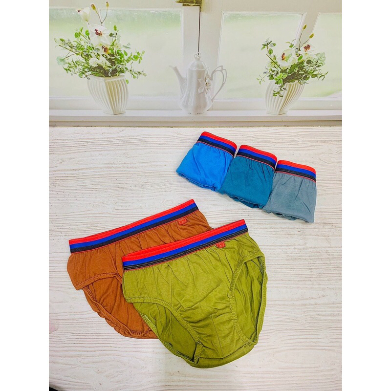 12Pcs CD Celana Dalam Sempak Anak Cowok Polos Davitex