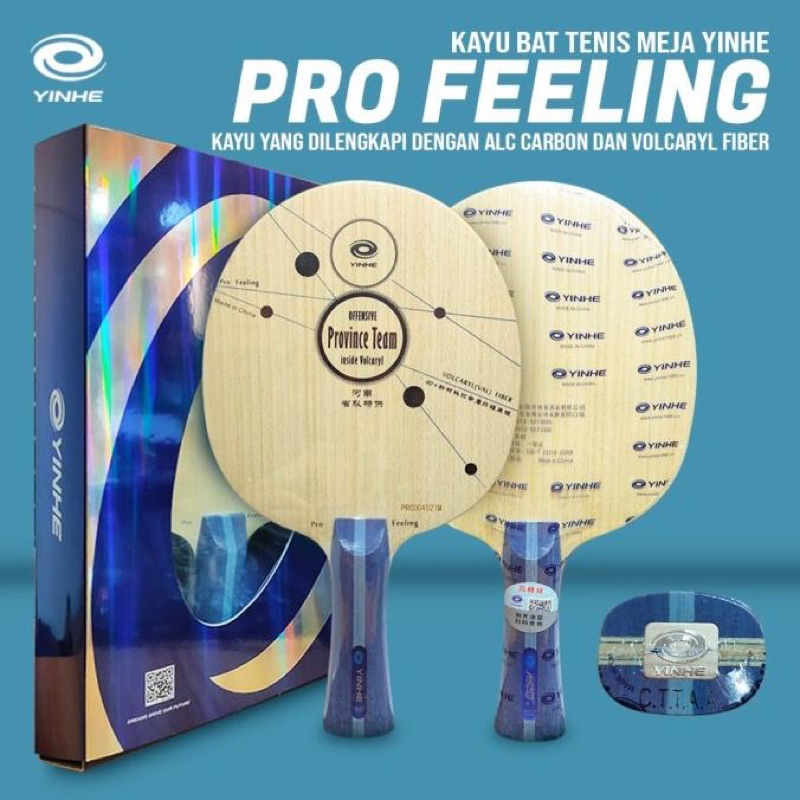 Bet Tenis Meja Kayu Bet Pingpong Yinhe Province Team Pro Feeling ALC FL