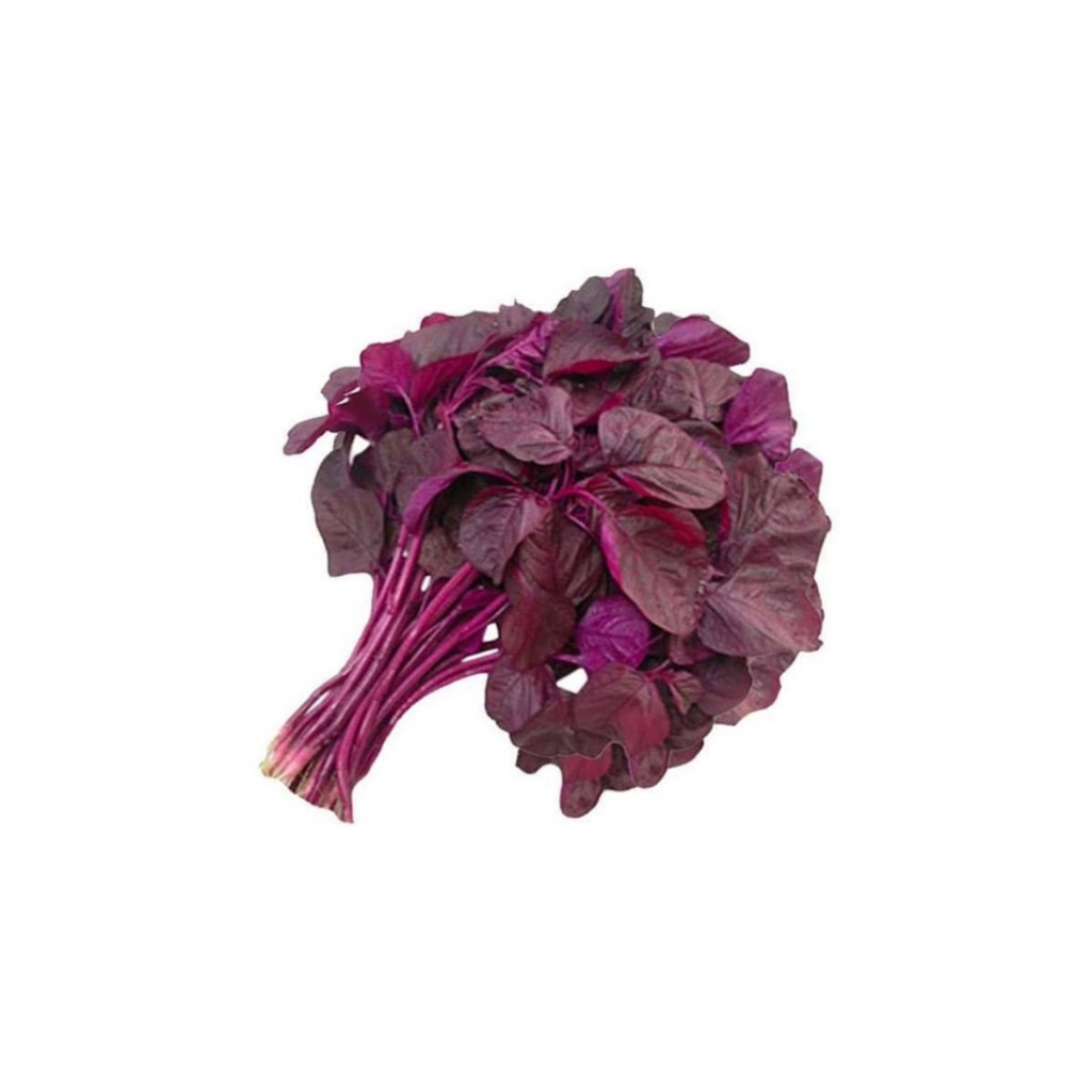 

Bayam Merah Organik (Bebas Pestisida)