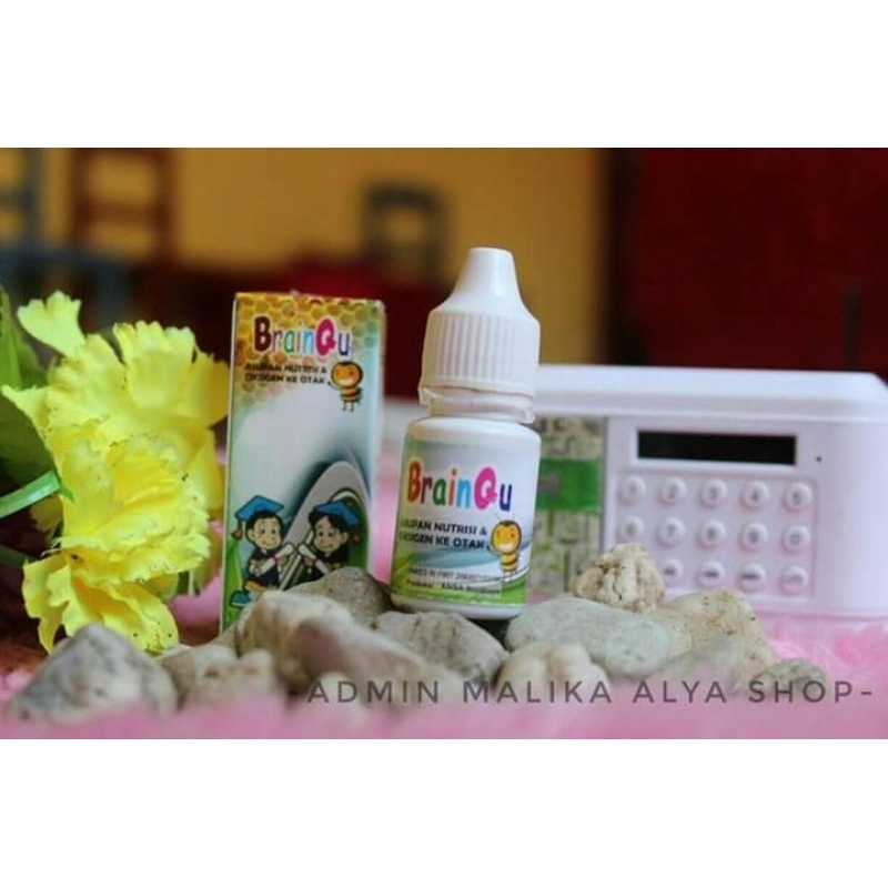 brainqu