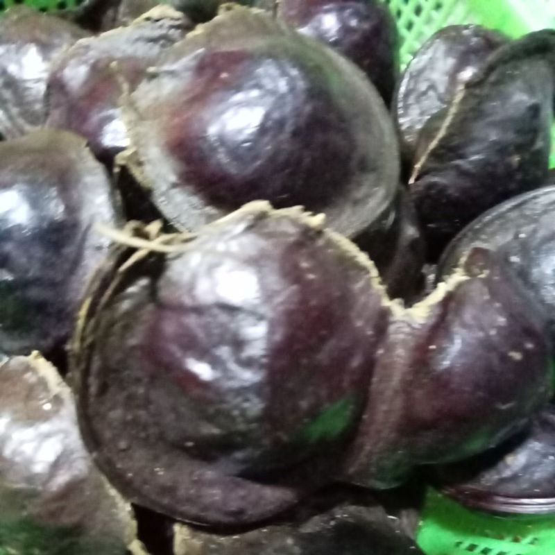 

jengkol lalap 1kg