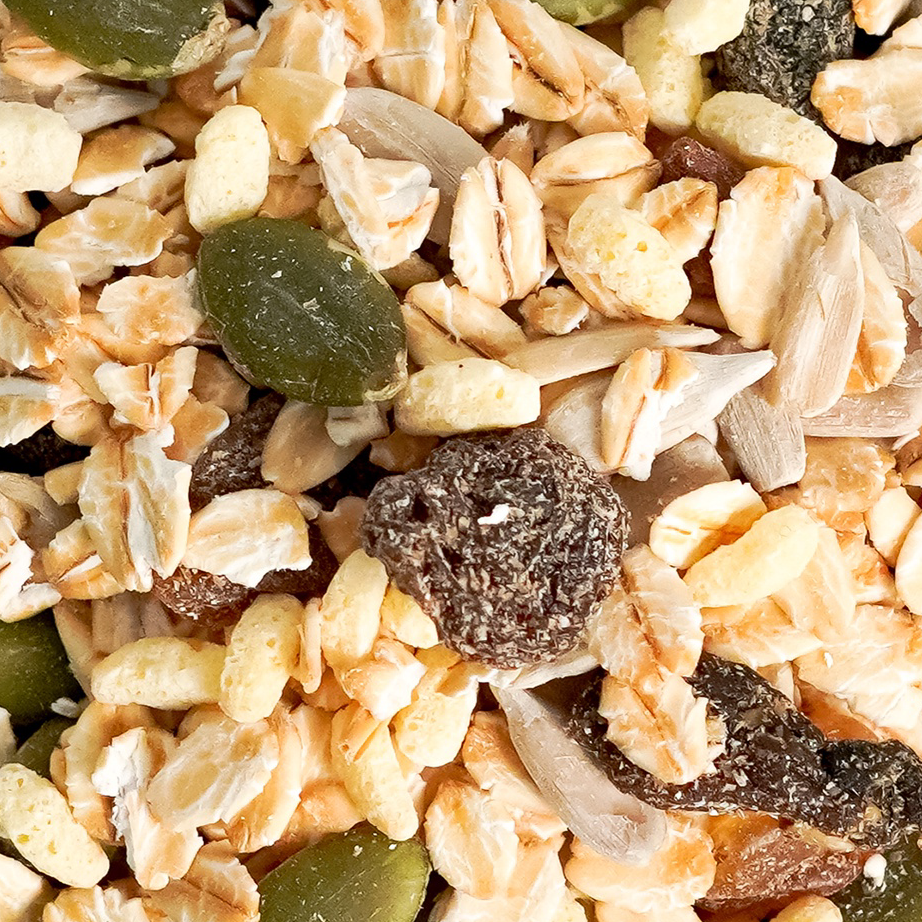 

Bayar Di Tempat Muesli Fruit and Seed 500 gram Sereal Sehat Authentic Safiya Food