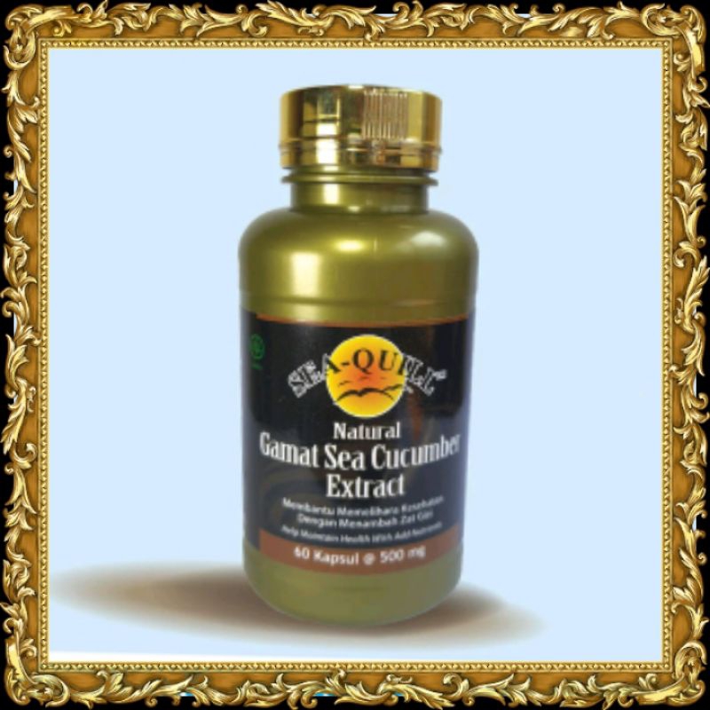 

SeaQuillNaturalGamatSeaCucumber