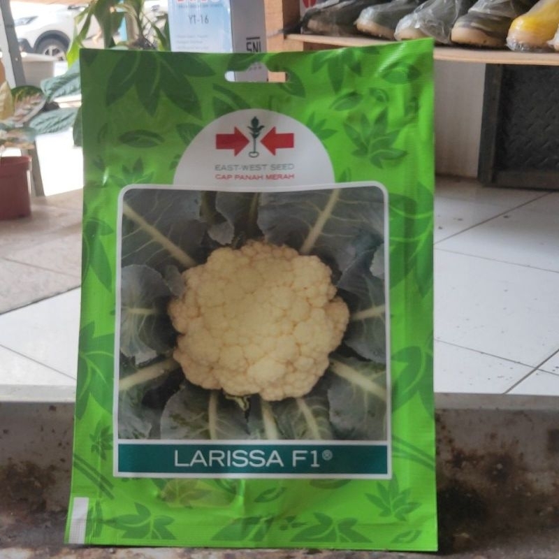 Benih/Bibit Kembang kol Larissa F1 / Pm 126 F1  250 butir