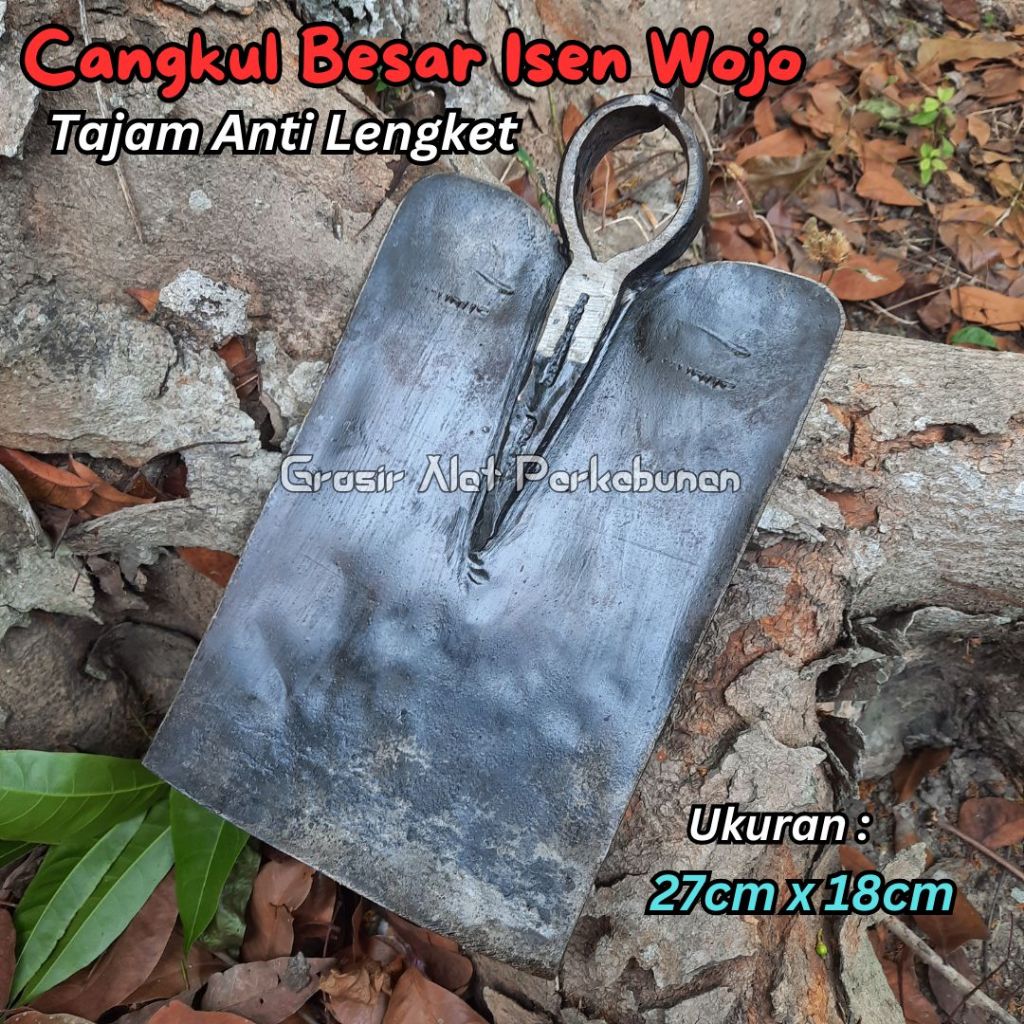 Cangkul Sawah Baja Isen Super Tajam - Cangkul Anti Lengket Produk Lokal Pande Jawa - Pacul Isen Wojo Besar Dan Tajam