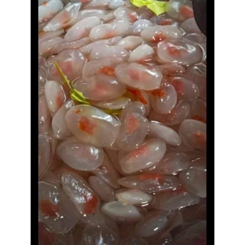 

Kolang Kaling khietna 1kg