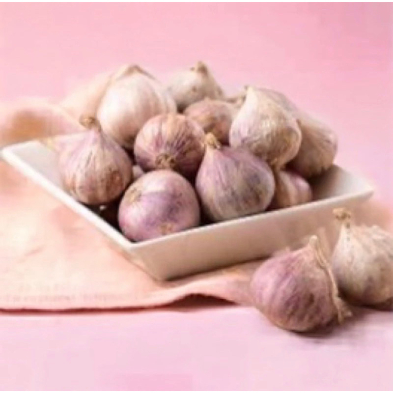 

bawang tunggal 500 gram