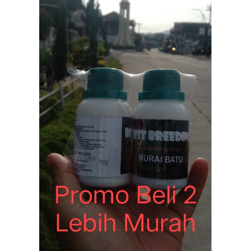 Best Breeding Murai Batu 80 ml