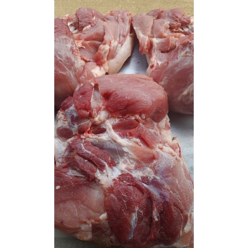 

daging paha frosen fress