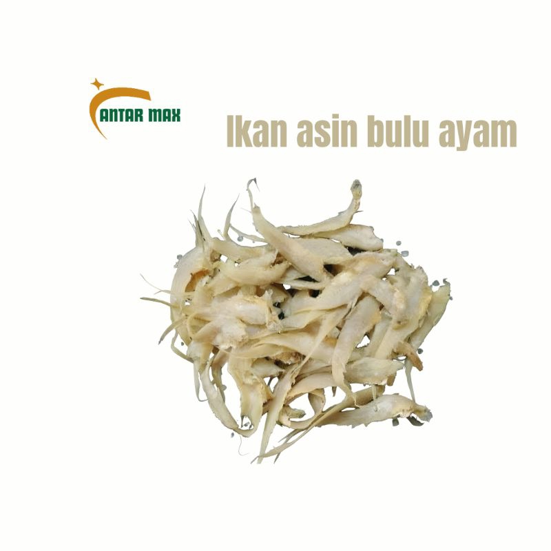 

Ikan asin bulu ayam