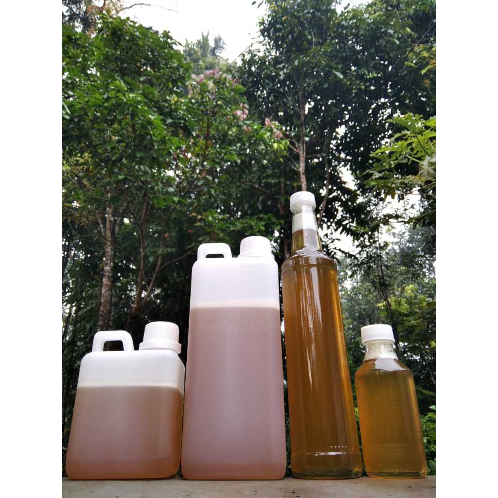 

madu murni | madu asli | madu sehat
