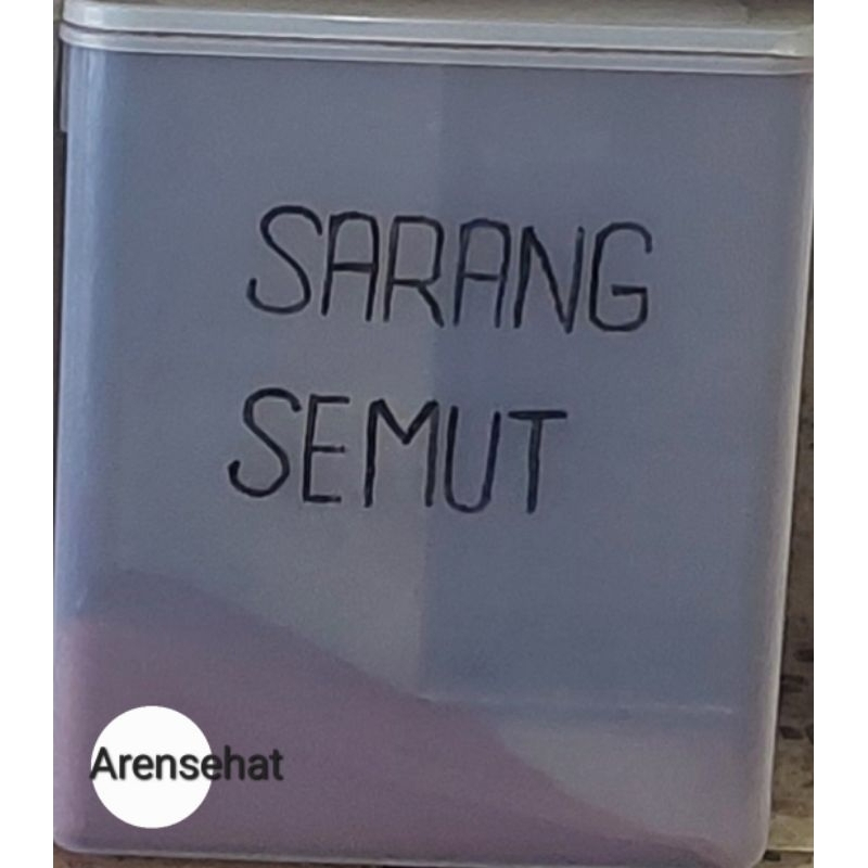 

Sarang Semut Bubuk 10gr Premium