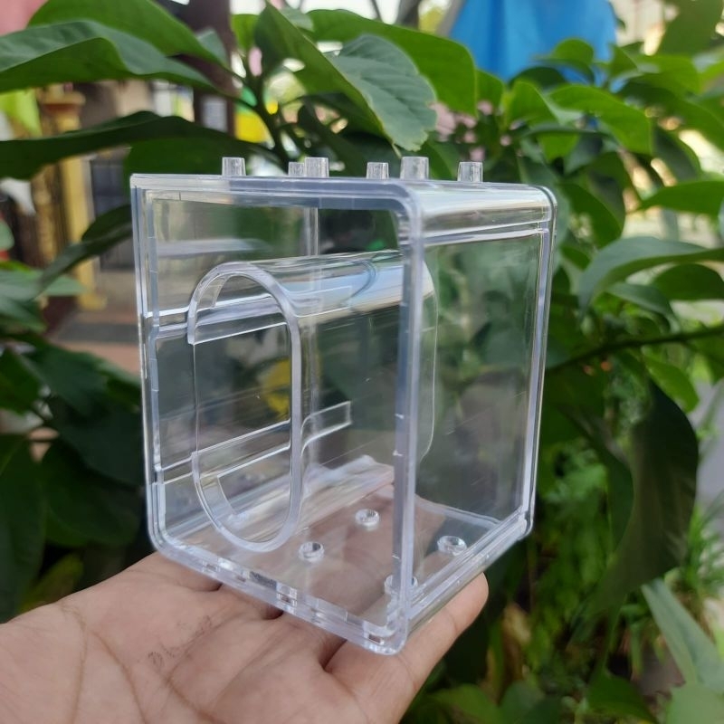 BOX JAM TANGAN KOTAK JAM TANGAN MIKA TRANSPARAN DIGITEC BESAR B