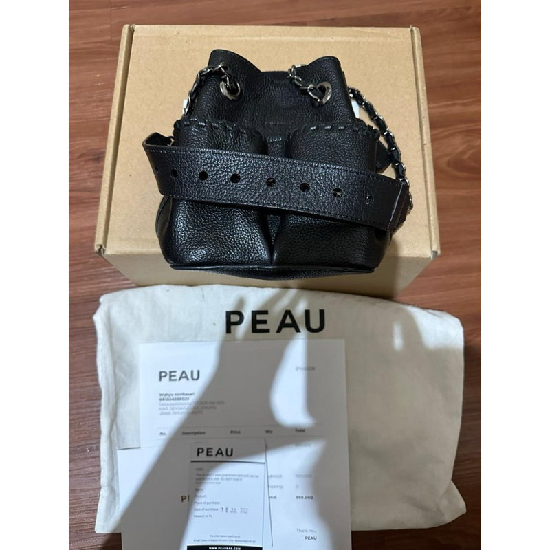 Preloved PEAU Bag