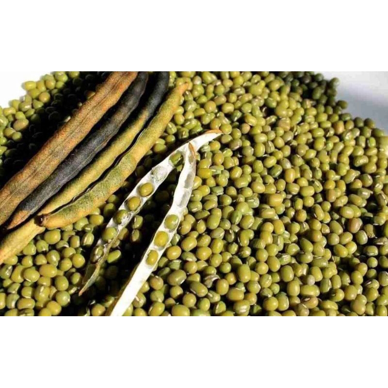 

kacang hijau 1kg