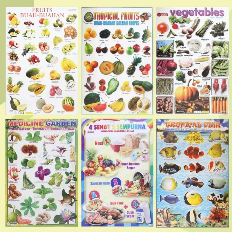 Poster Edukasi Mengenal Buah Dan Sayur