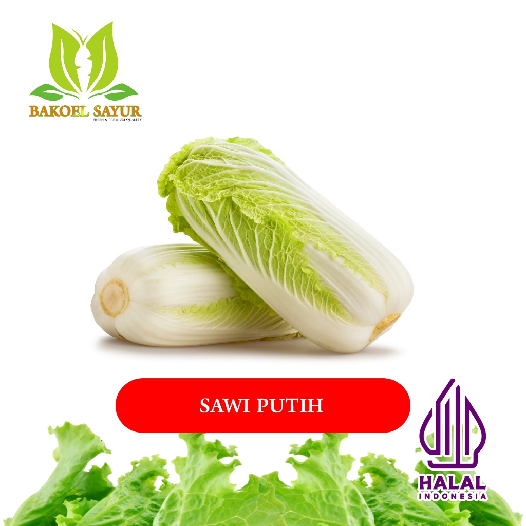 

SAWI PUTIH SEGAR / HARGA PER PCS 700-1000 gr