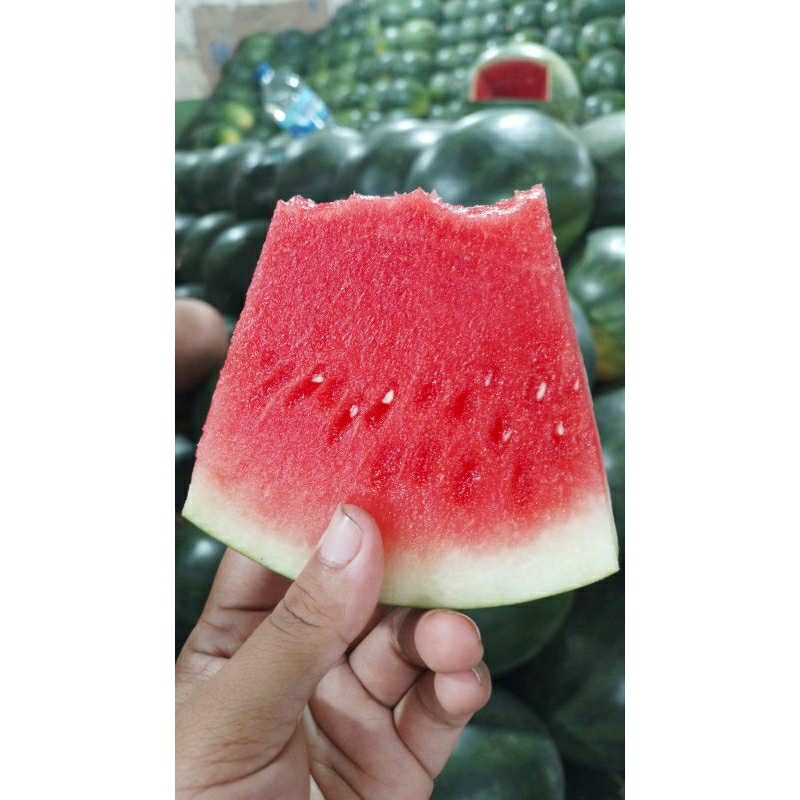 

semangka non biji merah 1 buah