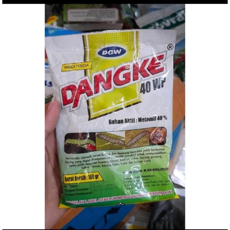 dangke 100ml