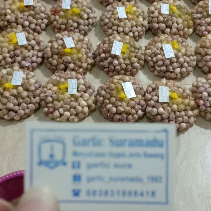 

WCSW9757 [PROMO SALE!!!] Bawang putih tunggal kecil 1kg impor murah