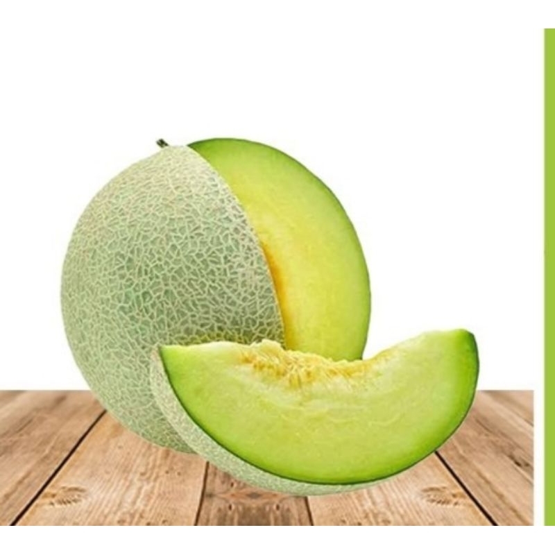 

Indukbuah Buah Melon Sky Rocket 1,5kg-2kg